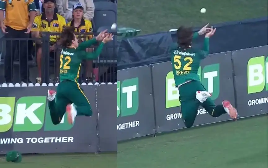 Explained: How ICC Rule Turned Dewald Brevis' Superman-Esque Boundary Save Into A Six